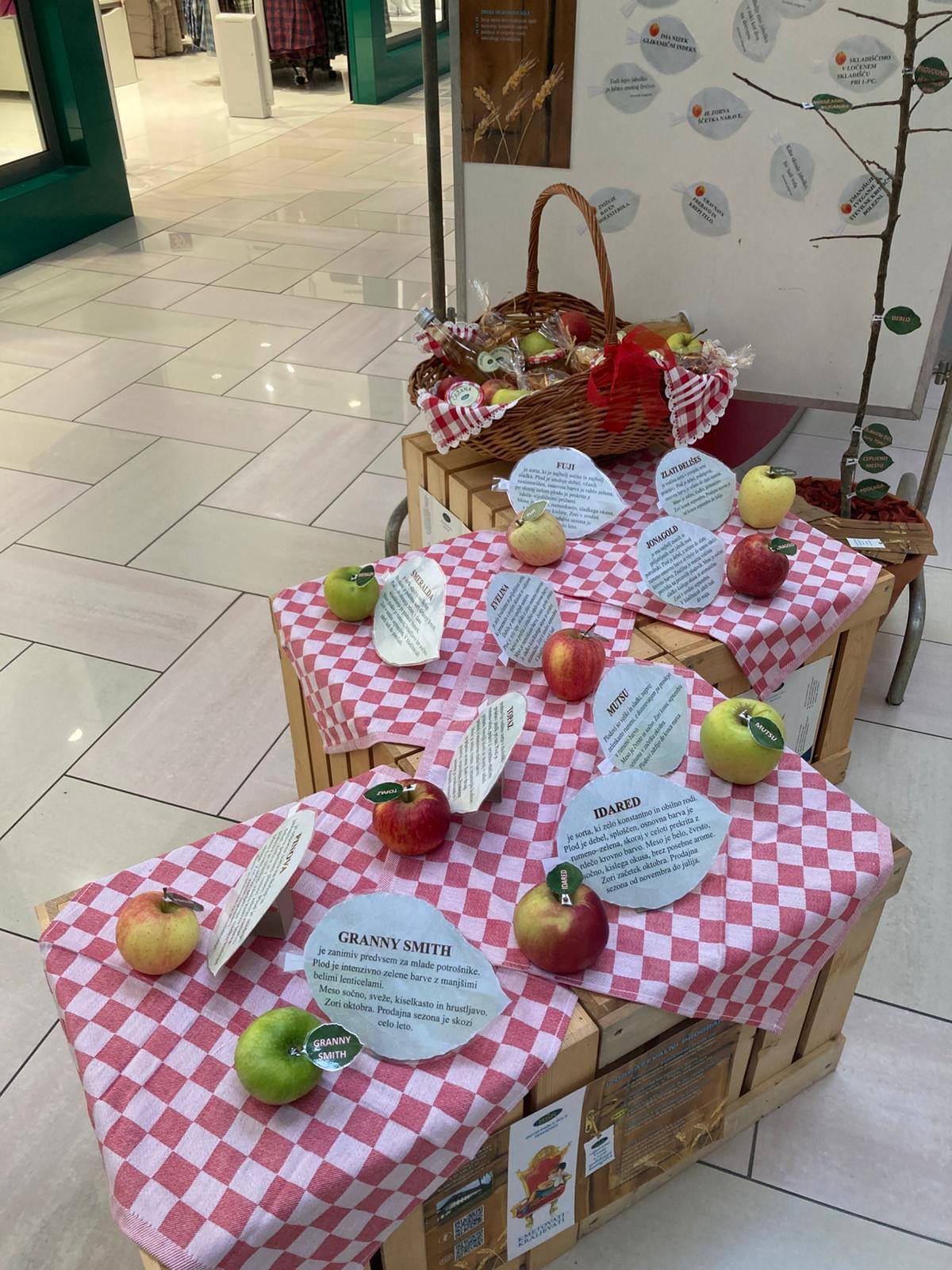 585888668 1349177817002580 4315691272767011128 n