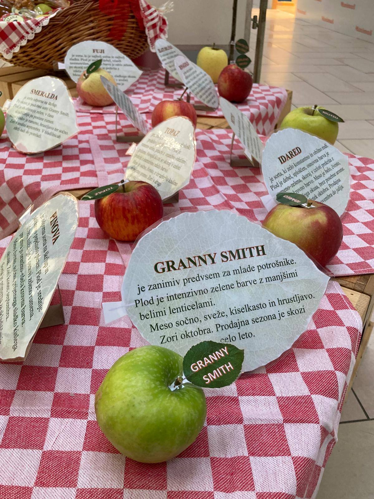 587096309 1349177897002572 1794457139391368982 n