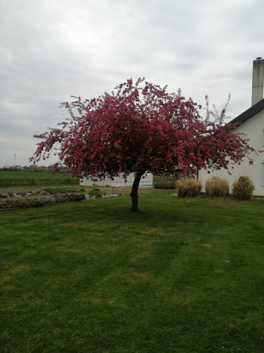 8615958516048570097 002