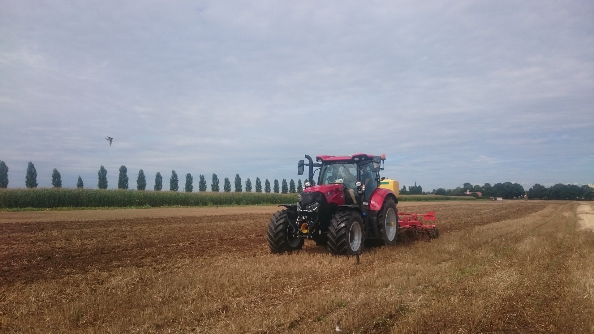 68519067 2397930753563069 183892374852730880 o