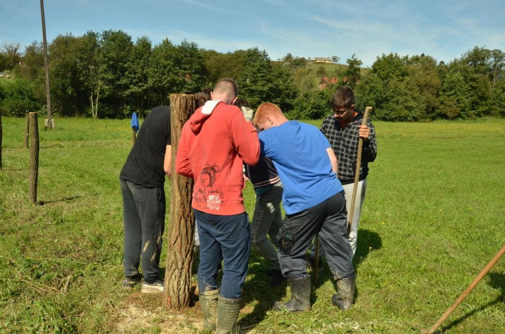 70681641 2445445548811589 2248023991971217408 o