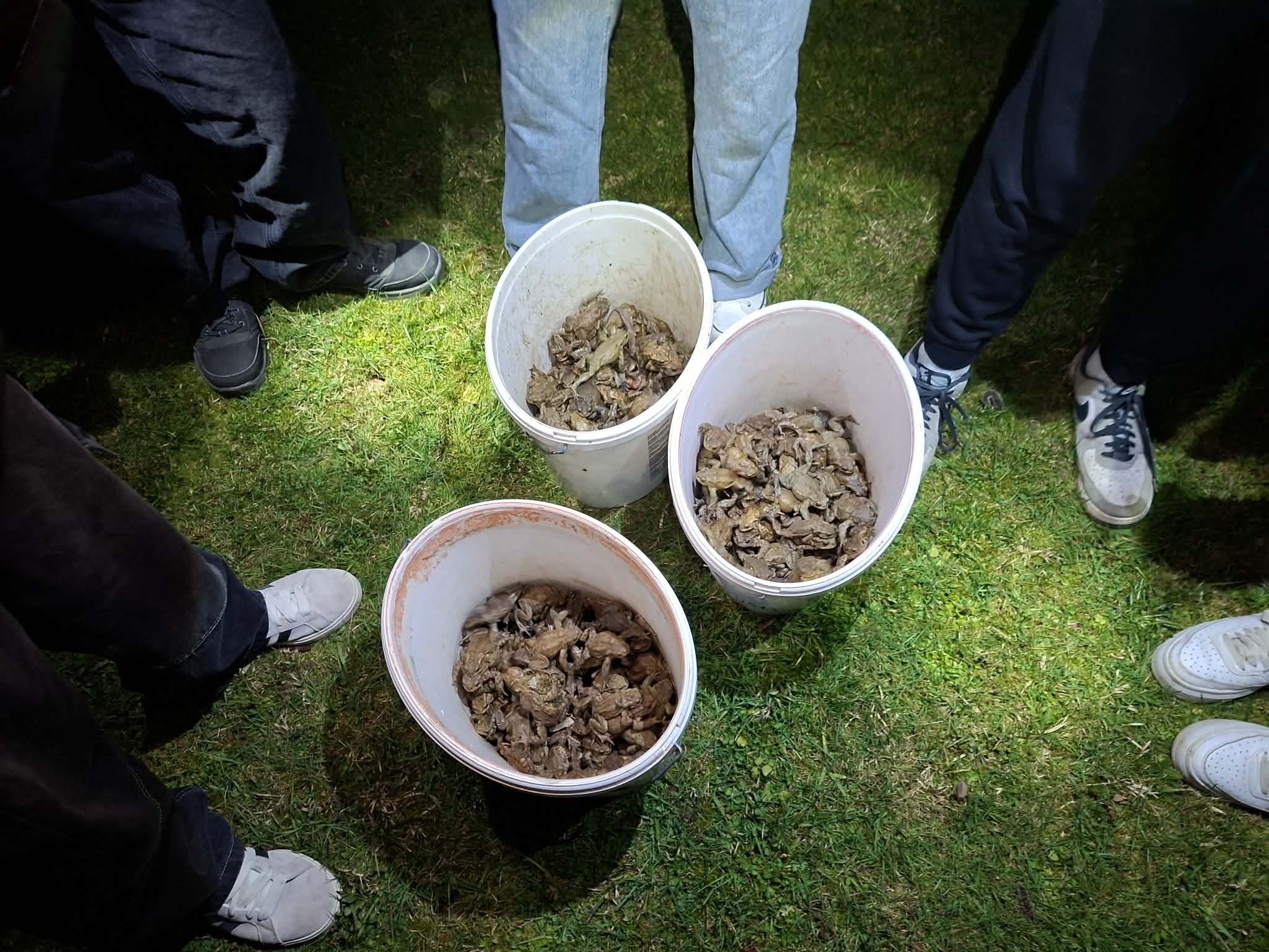 651694455 1440220577898303 979930629013421456 n